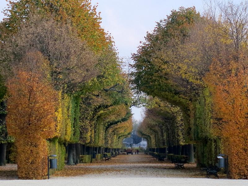 Wien (215).JPG